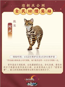 迷途天龙八部私服
